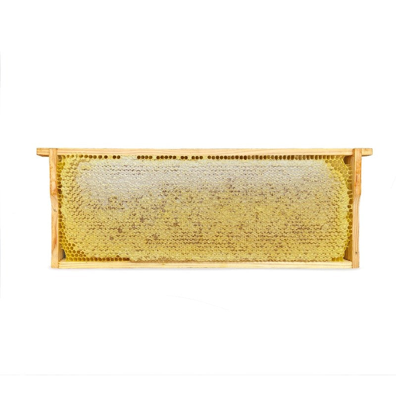 BIO Wabenhonig im Holz